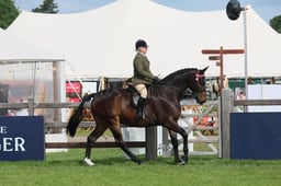 S30_2980 2026
