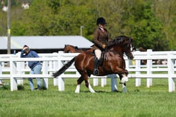 H19_0417 2026