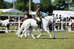 H47_0379 2026