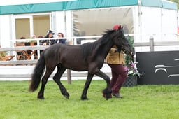 W29_0852 2026