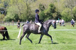 C19_1399 2026