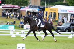 189 DHI KING NELSON