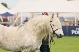 S29_0486 2026