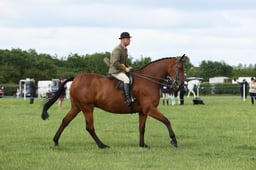 E36_0620 2026