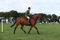 E36_0406 2026