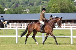 Z43_5235 2026