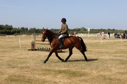 E60_0470 2026