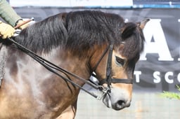 E47_1726 2026
