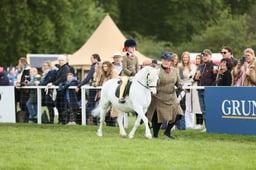 E30_3752 2026
