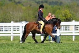 H19_0643 2026
