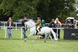E30_4691 2026