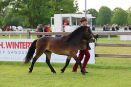 S29_0055 2026