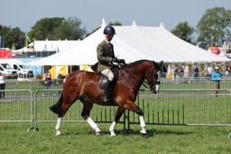 C34_1008 2026