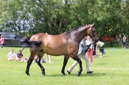 J36_6993 2026