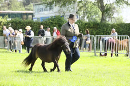 Shetland Championship