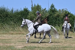 S60_0534 2026