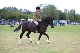 W36_1458 2026