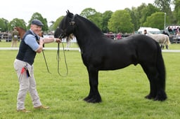 W29_1255 2026