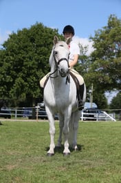 109B Jnr Ridden Large Breed M&M