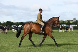 E36_0381 2026