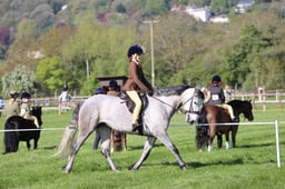 C19_0422 2026