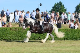 S61_0535 2026