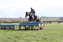 155 Joey II