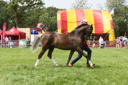 E34_2079 2026