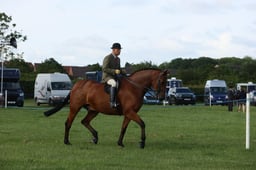E36_0404 2026