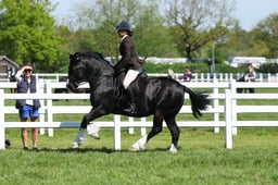 H19_0464 2026