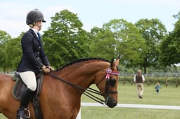 149 PB and Anglo Arabs 148cm & Under