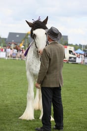 E36_2004 2026