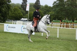 E30_5034 2026