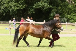 E41_0955 2026