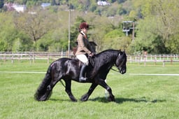 C19_1059 2026
