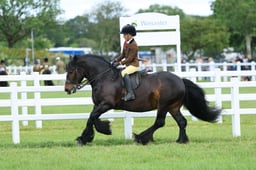 H41_2590 2026