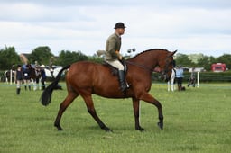 E36_0621 2026