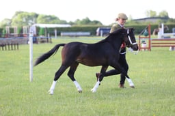J36_5685 2026