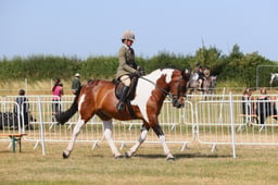 63 RIDDEN COB