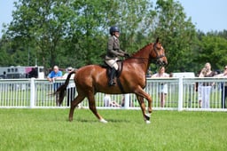 F34_1707 2026