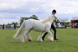 J36_7526 2026