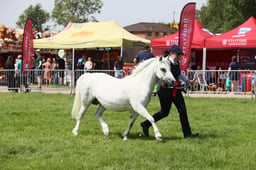 E34_1595 2026