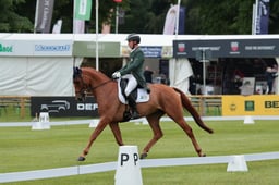 103 KILROE TIGER