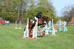 461 BORIS THE GREAT