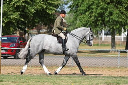 H65_0445 2026