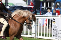 W33_0614 2026