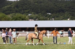 E42_0705 2026