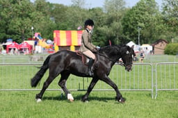C33_0804 2026