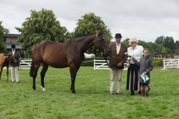 Yorkshires Best Bred Mare