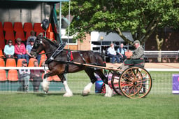 M41_1808 2026